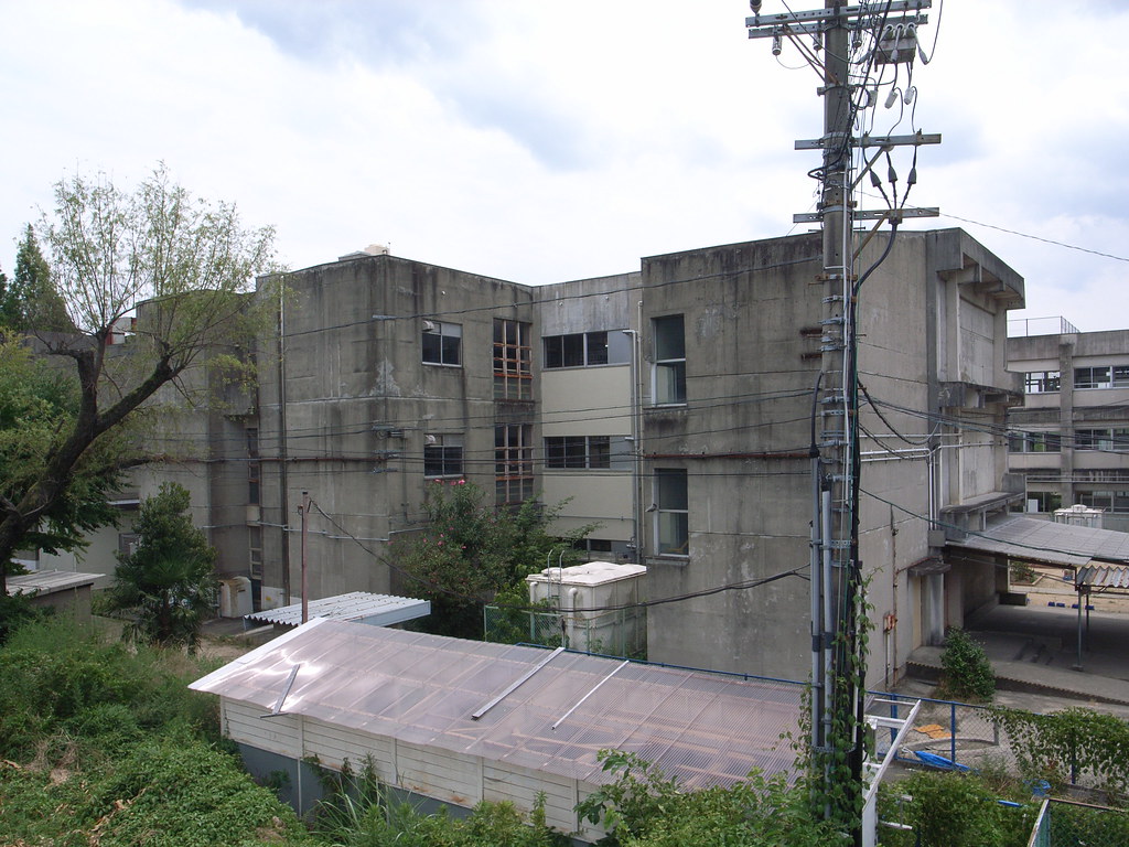 肇庆思政课一体化建设成效显著